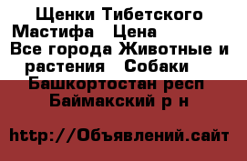 Щенки Тибетского Мастифа › Цена ­ 60 000 - Все города Животные и растения » Собаки   . Башкортостан респ.,Баймакский р-н